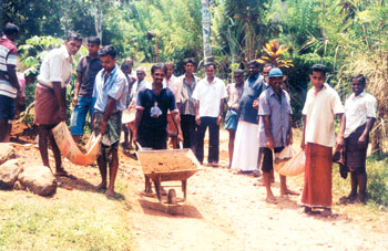 සිළුමිණ: දේශපාලන - ආර්ථික සංවර්ධනය